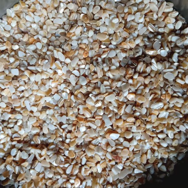 Premium Crushed Seashells for Landscaping, Terrazzo, and Gardens