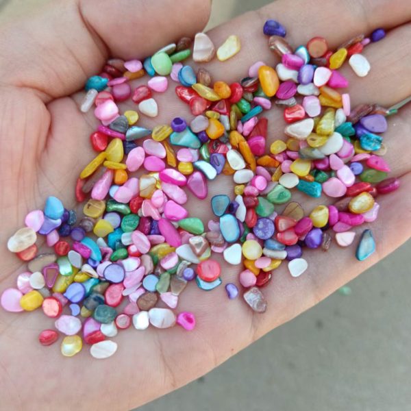 Premium Crushed Seashells for Landscaping, Gardens & Terrazzo