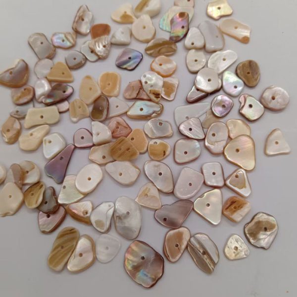 Premium Crushed Shells for Landscaping, Gardening, and Terrazzo Concrete