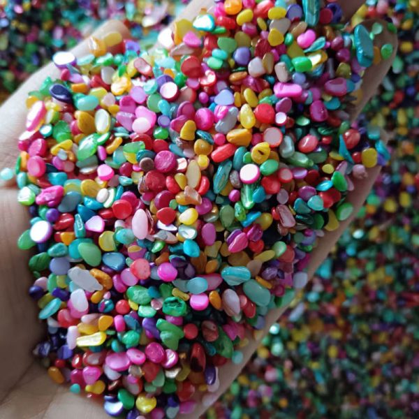 Premium Crushed Shells for Landscaping, Terrazzo, and Gardens