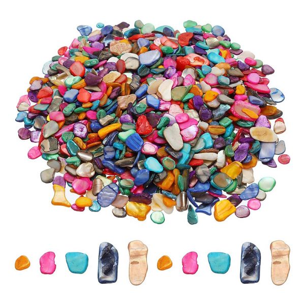 Premium Bulk Crushed Shells for Landscaping, Gardening, and Terrazzo